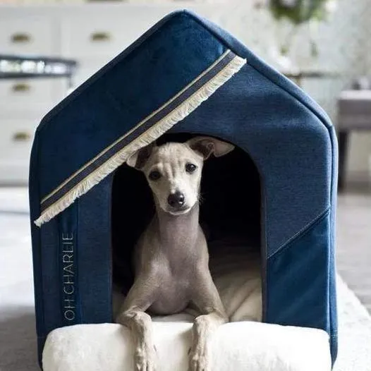 Allure Doghouse LUXURY by Oh Charlie - Navy Blue