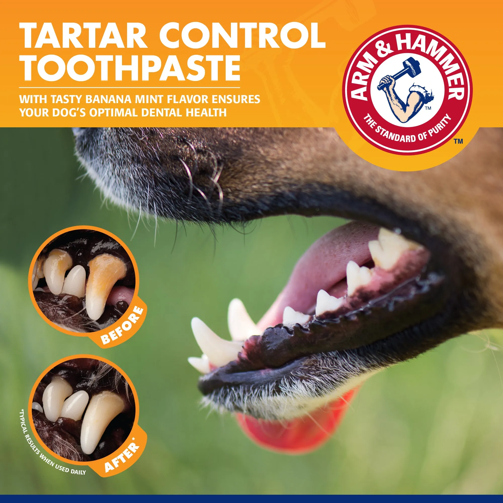 Arm and Hammer Tartar Control Dental Kit for Dogs Banana Mint