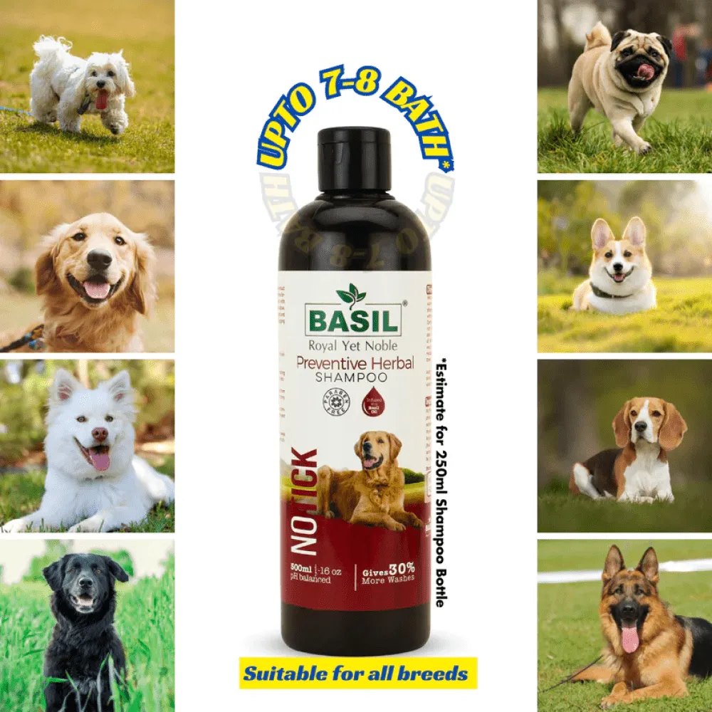 Basil Herbal No Ticks Dog Shampoo
