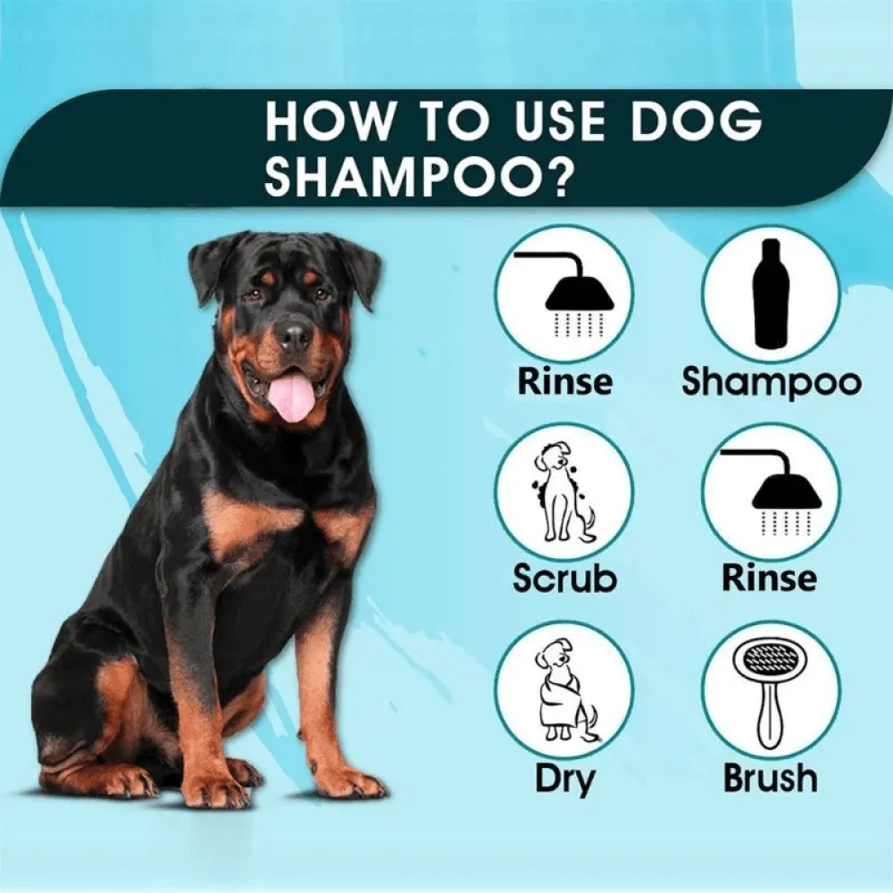 Basil Herbal No Ticks Dog Shampoo