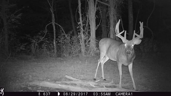 Browning Trail Camera - Strike Force Apex - BTC-5HD-APX