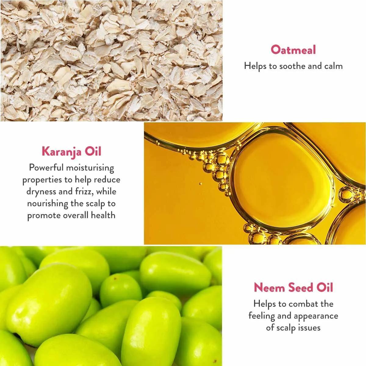 Calming Shampoo Bar Mini for Dry Scalps: Heali Kiwi™