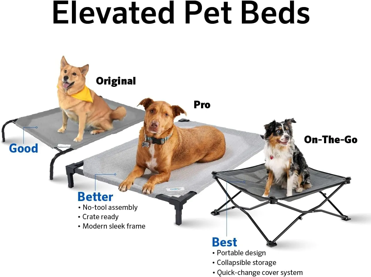 Cooling Elevated Dog Bed – Meet CoolPaws 🌞🐾
