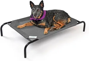 Cooling Elevated Dog Bed – Meet CoolPaws 🌞🐾