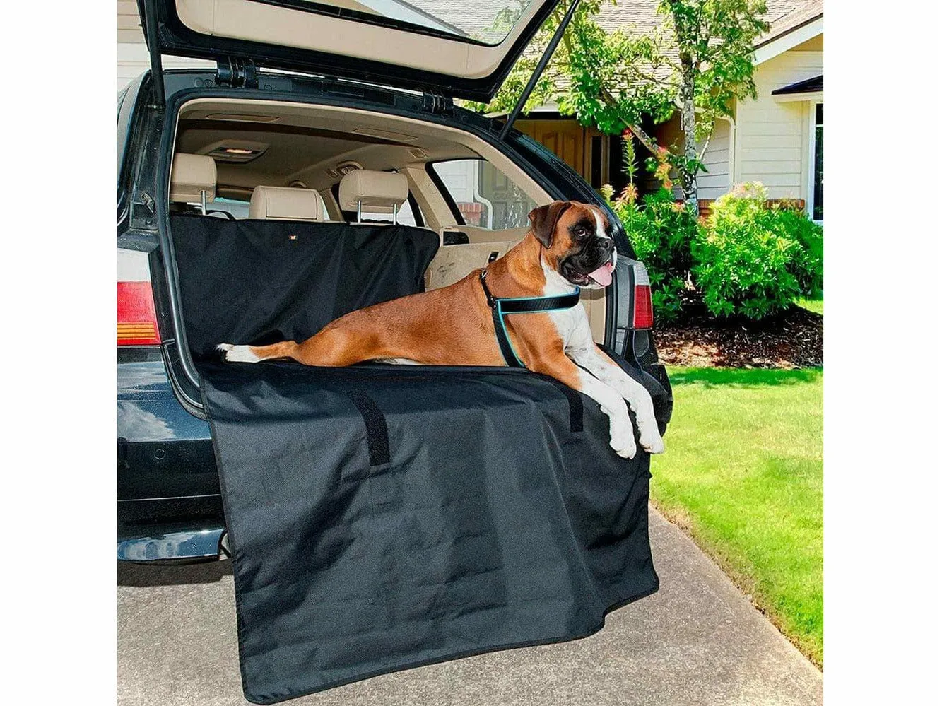 DOG CAR COVER