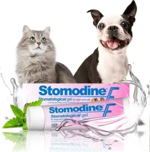 Dog toothpaste Stomodine F Dental gel for dogs and cats