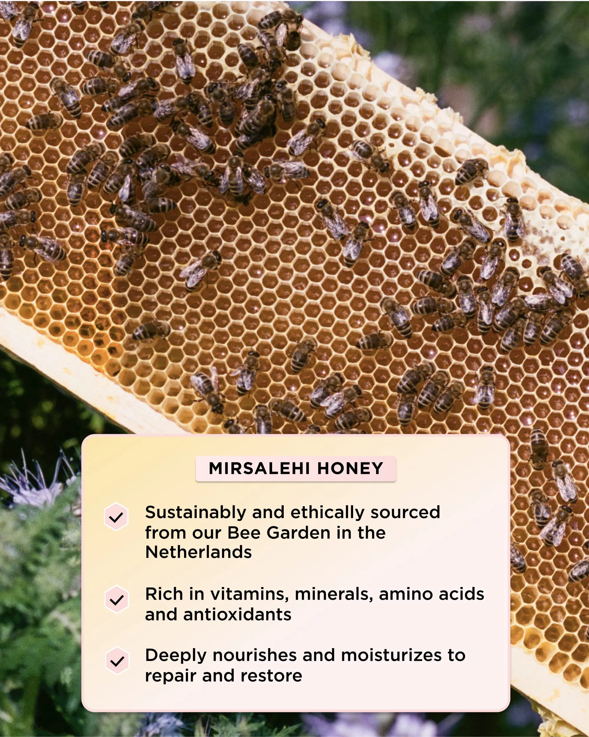 Honey Infused Leave-In Conditioner