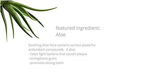Kiss My Face Super White Cool Mint Gel Toothpaste, SLS And Fluoride Free, Removes Plaque And Prevents Tartar, With Added Tea Tree Oil, Aloe And Iceland Moss, 4.5 Oz
