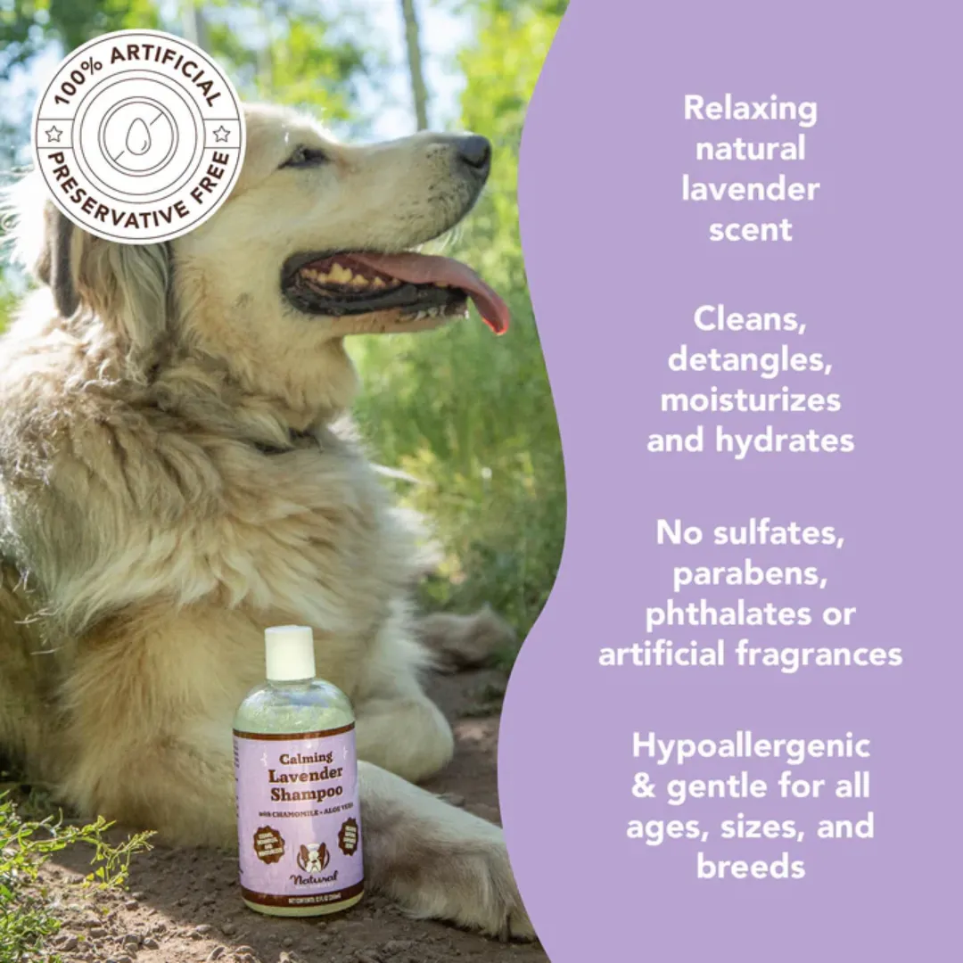 Natural Dog Company Calming Lavender Shampoo
