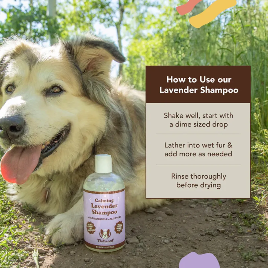 Natural Dog Company Calming Lavender Shampoo