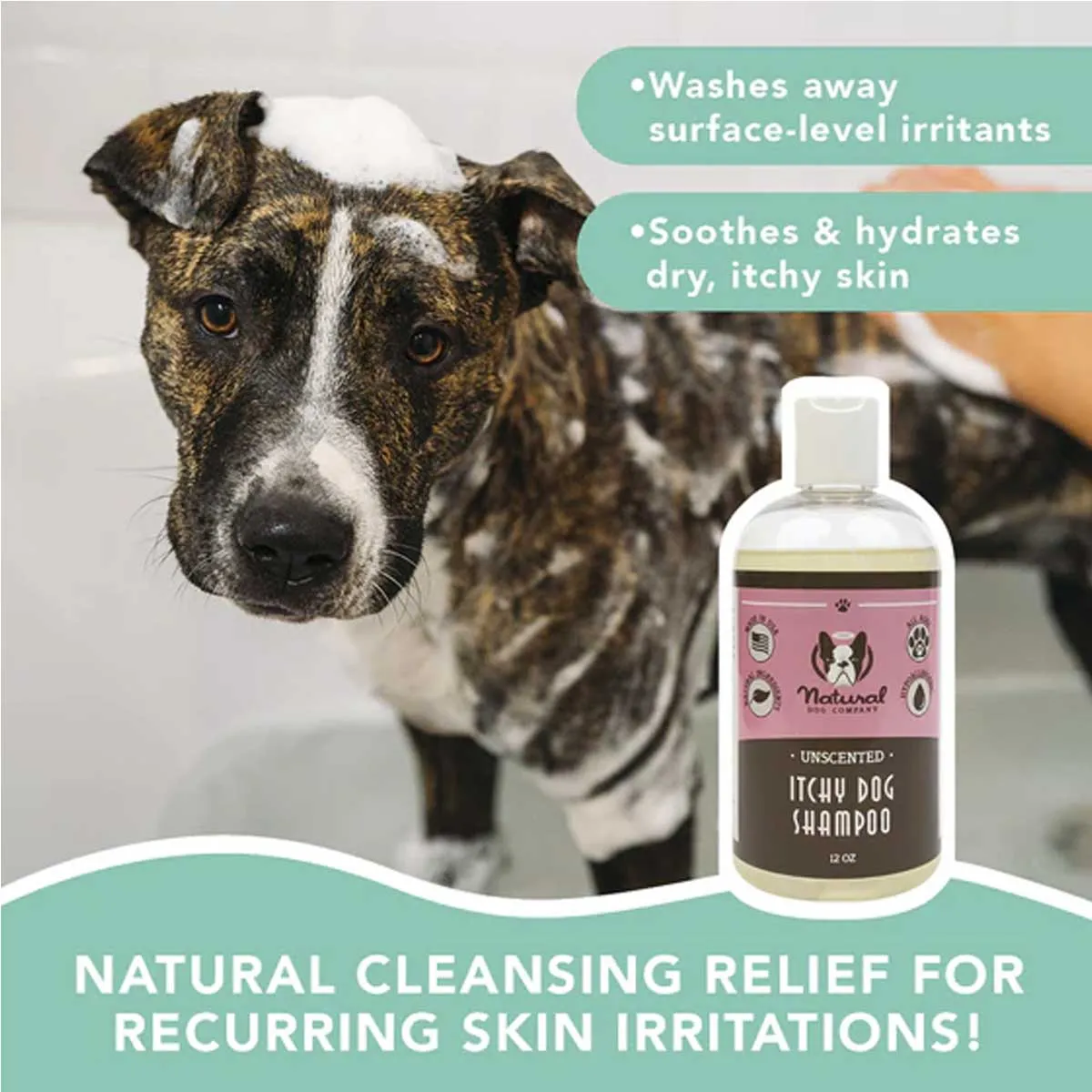 Natural Dog Company Itchy Dog Natural Shampoo