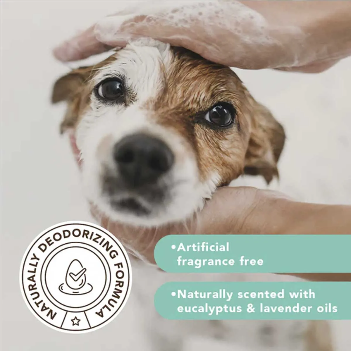 Natural Dog Company Itchy Dog Natural Shampoo