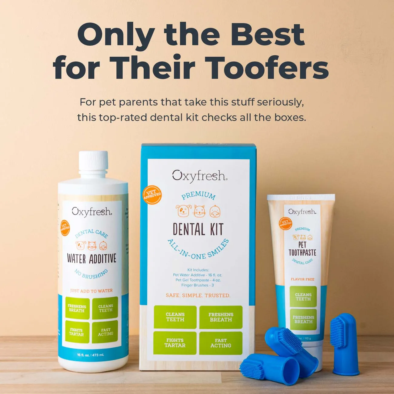 oxyfresh dental kit
