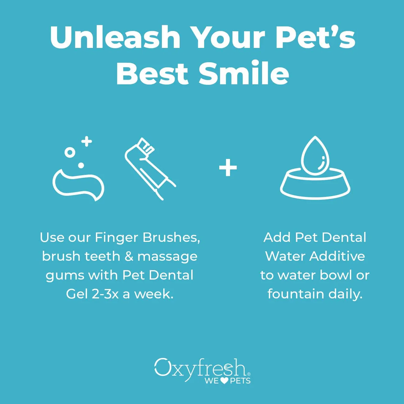 oxyfresh dental kit