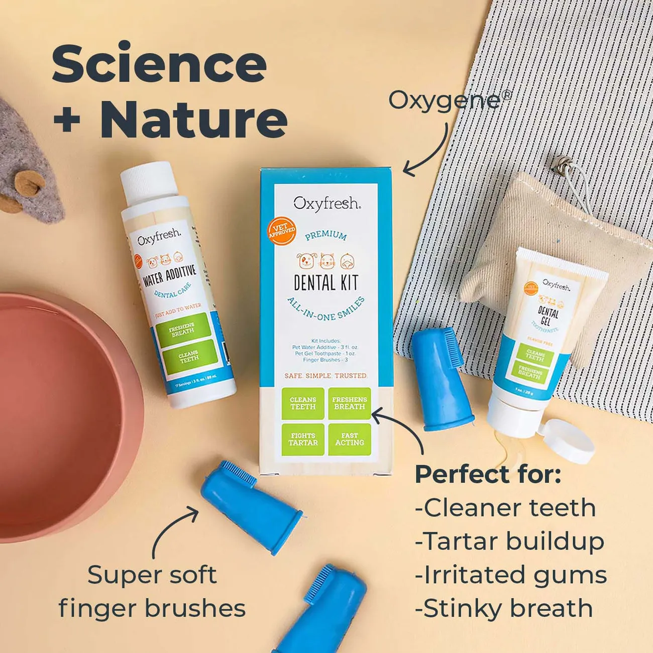 oxyfresh dental kit