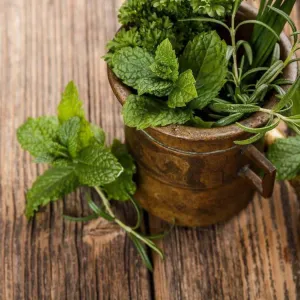 Rosemary Mint FO/EO Blend