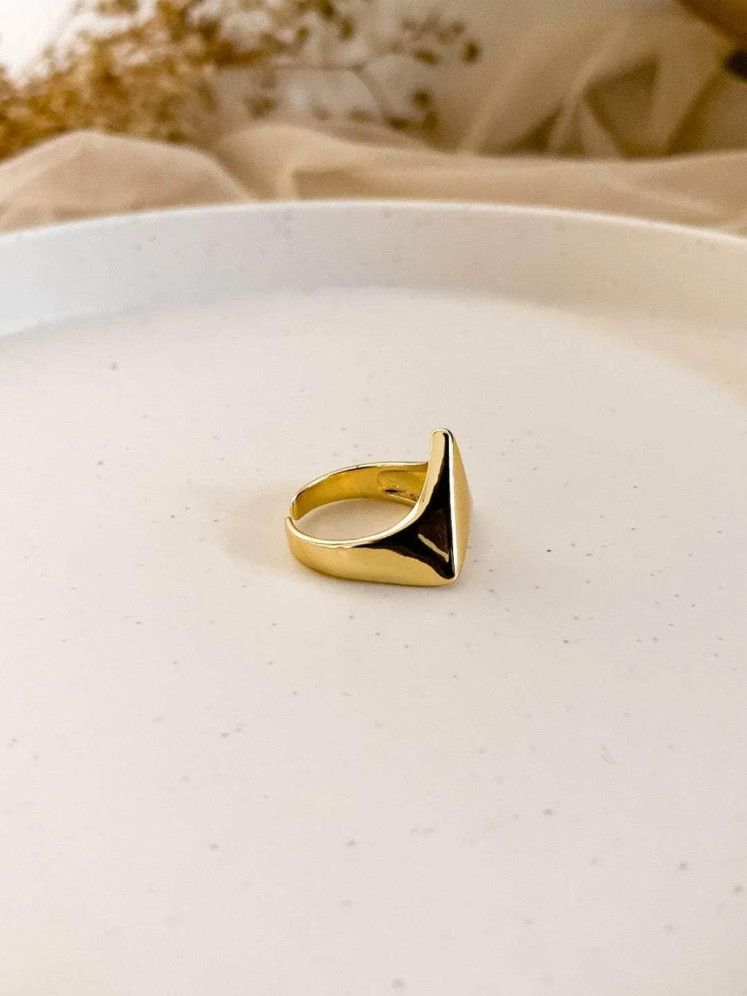 Sanjana Sanghi In Boho Triangle Ring