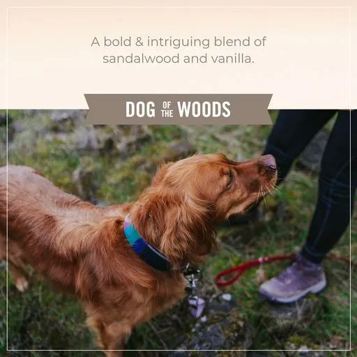 Skouts Honor Probiotic Shampoo Plus Conditioner Dog of the Woods